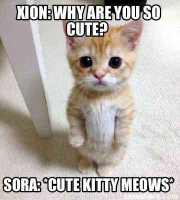 Meme Creator - Funny Xion: why are you so cute? Sora: *cute kitty meows