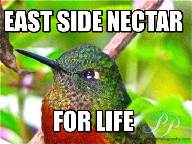 east-side-nectar-for-life