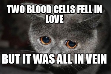 two-blood-cells-fell-in-love-but-it-was-all-in-vein