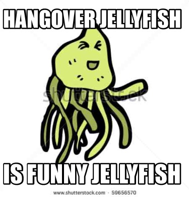 hangover-jellyfish-is-funny-jellyfish