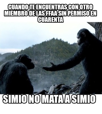 cuando-te-encuentras-con-otro-miembro-de-las-ffaa-sin-permiso-en-cuarenta-simio-