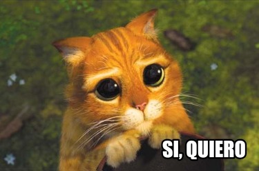 Meme Creator - Funny Si, quiero Meme Generator at MemeCreator.org!