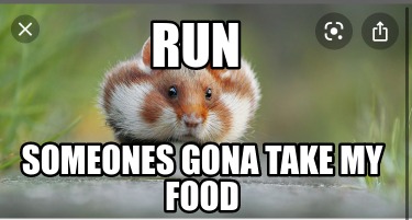 run-someones-gona-take-my-food