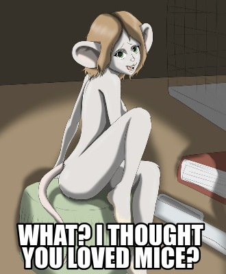 what-i-thought-you-loved-mice