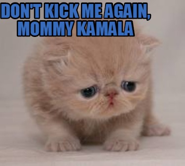 dont-kick-me-again-mommy-kamala
