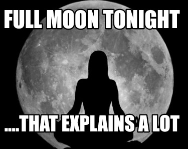 full-moon-tonight-....that-explains-a-lot