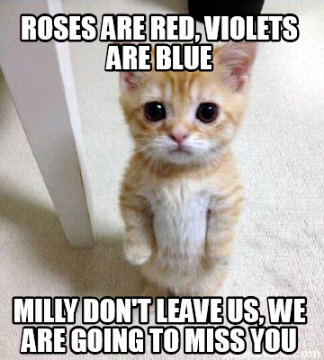 Meme Creator - Funny Roses are red, violets are blue Milly don't leave us, we are going to miss you Meme Generator at ! Meme Creator - Funny Roses are red, violets are blue Milly don't leave us, we are going to miss you Meme Generator at !