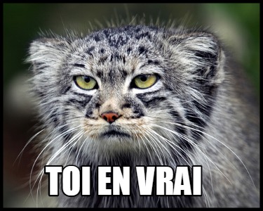 toi-en-vrai