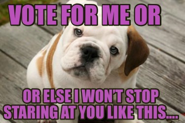 wallpapers Funny Vote For Me Memes meme generator at memecreator org