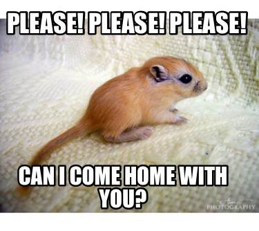 please-please-please-can-i-come-home-with-you