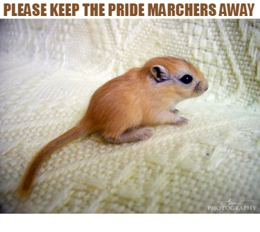 please-keep-the-pride-marchers-away