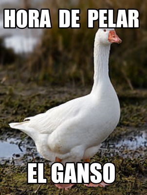 hora-de-pelar-el-ganso