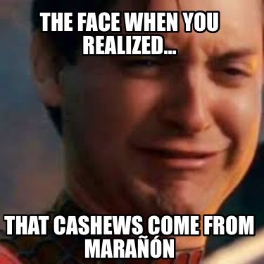 the-face-when-you-realized...-that-cashews-come-from-maran