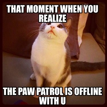 that-moment-when-you-realize-the-paw-patrol-is-offline-with-u