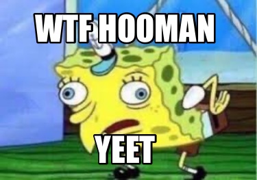 wtf-hooman-yeet
