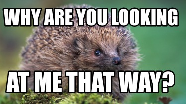 why-are-you-looking-at-me-that-way