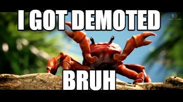 i-got-demoted-bruh