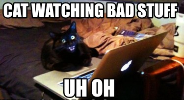 cat-watching-bad-stuff-uh-oh
