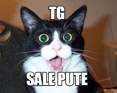 tg-sale-pute