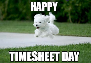 happy-timesheet-day