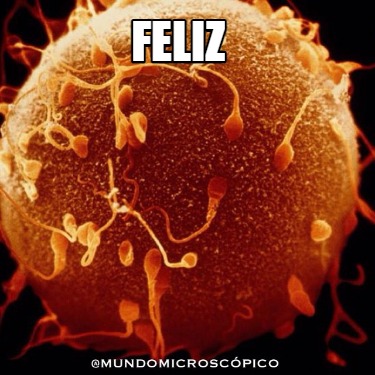 feliz3