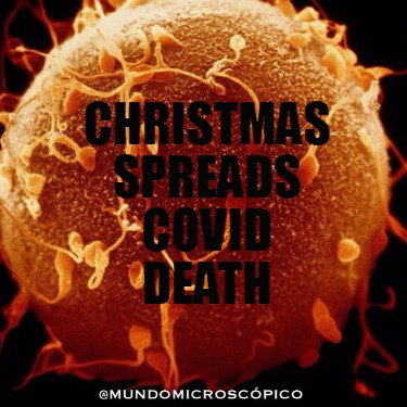christmas-spreads-covid-death5
