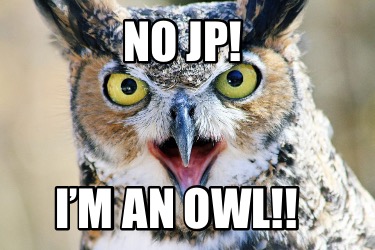 no-jp-im-an-owl