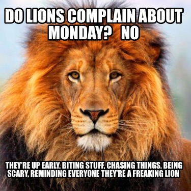 do-lions-complain-about-monday-no-theyre-up-early-biting-stuff-chasing-things-be