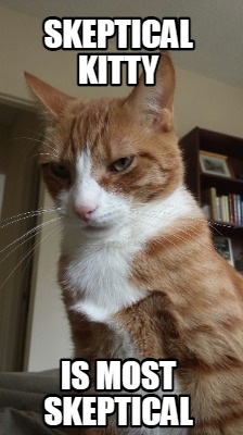 skeptical-kitty-is-most-skeptical