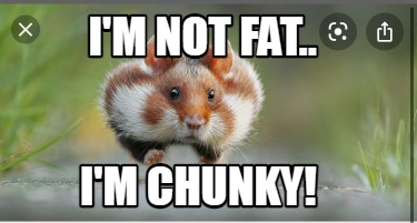 im-not-fat..-im-chunky