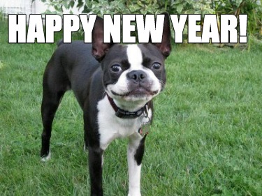 happy-new-year950
