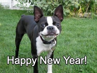happy-new-year961