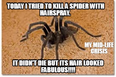 Meme Creator - Funny Today I tried to kill a spider with hairspray. It didn't die but its hair looke Meme Generator at ! Meme Creator - Funny Today I tried to kill a spider with hairspray. It didn't die but its hair looke Meme Generator at !