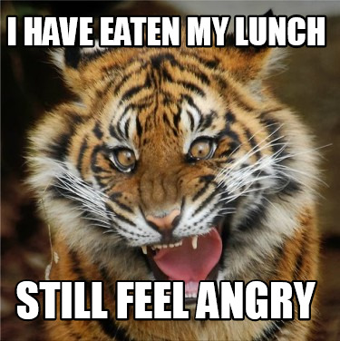 Meme Creator - Funny I have eaten my lunch still feel angry Meme Generator at ! Meme Creator - Funny I have eaten my lunch still feel angry Meme Generator at !