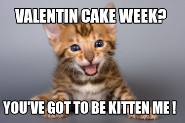 valentin-cake-week-youve-got-to-be-kitten-me-