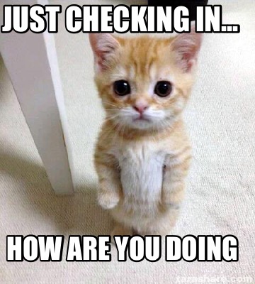 Meme Creator Funny Just Checking In How Are You Doing Meme Generator At Memecreator Org
