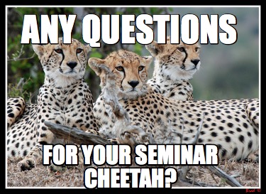 any-questions-for-your-seminar-cheetah