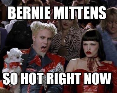 bernie-mittens-so-hot-right-now