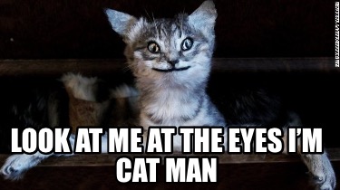 look-at-me-at-the-eyes-im-cat-man5