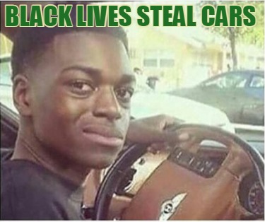 black-lives-steal-cars
