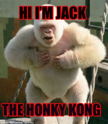 hi-im-jack-the-honky-kong9