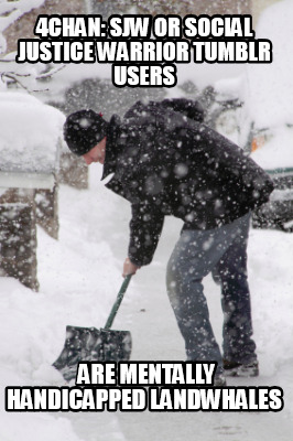 4chan-sjw-or-social-justice-warrior-tumblr-users-are-mentally-handicapped-landwh