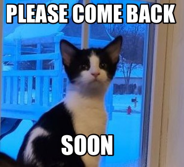 please-come-back-soon