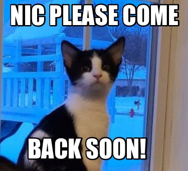 nic-please-come-back-soon