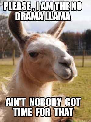 please-i-am-the-no-drama-llama-aint-nobody-got-time-for-that