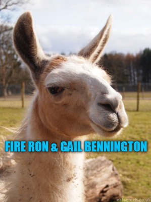 fire-ron-gail-bennington