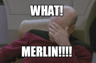 what-merlin