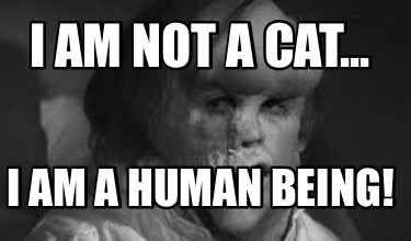 Meme Creator Funny I Am Not A Cat I Am A Human Being Meme Generator At Memecreator Org