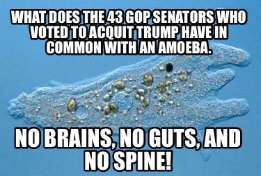 what-does-the-43-gop-senators-who-voted-to-acquit-trump-have-in-common-with-an-a
