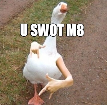 u-swot-m8